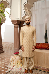 ARAZ Sherwani